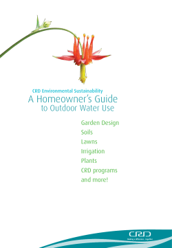 A Homeowner`s Guide to Outdoor Water Use