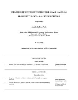 Field identification of terrestrial small mammals from the Tularosa