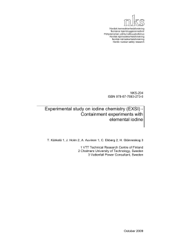 NKS-204, Experimental study on iodine chemistry (EXSI