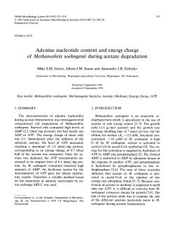 Adenine nucleotide content and energy charge of Methanothrix