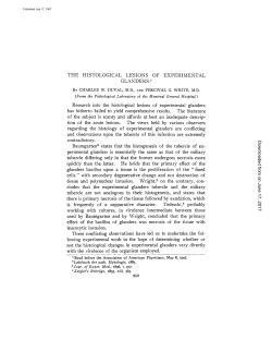 THE HISTOLOGICAL LESIONS OF EXPERIMENTAL