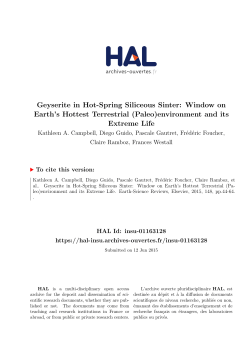 Geyserite in Hot-Spring Siliceous Sinter