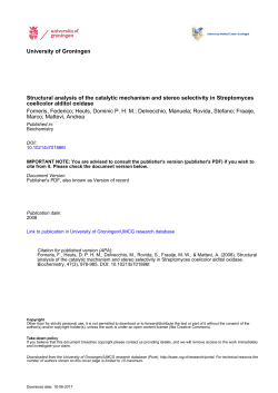 Structural Analysis of the Catalytic Mechanism and Stereoselectivity