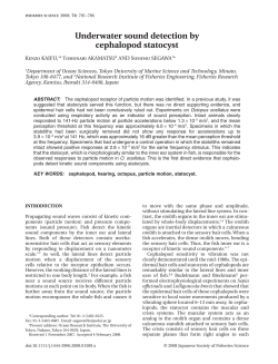 Underwater sound detection by cephalopod statocyst