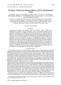 Mechanism of Interference Between Influenza A/WSN and B