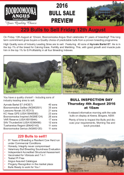 to - Booroomooka Angus