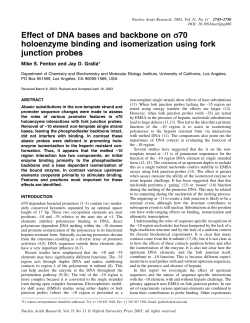 Effect of DNA bases and backbone on s70
