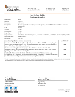 New England Biolabs Certificate of Analysis