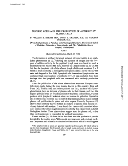 NUCLEIC ACIDS AND THE PRODUCTION OF ANTIBODY BY