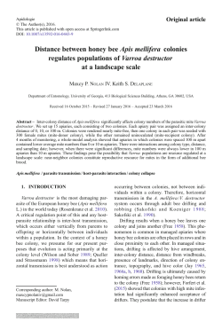 Distance between honey bee Apis mellifera colonies
