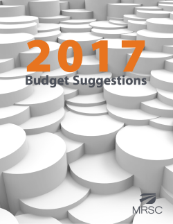2017 Budget Suggestions