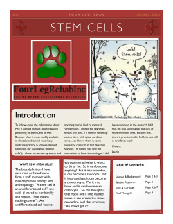 stem cells - Four Leg Rehab Inc