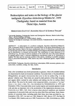 tardigrade Hypsibius klebelsbergiMIHELcIC, 1959