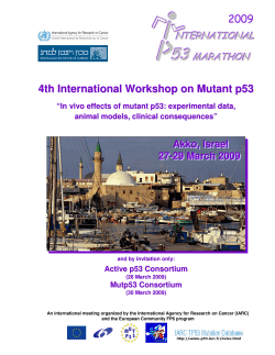 4th International Workshop on Mutant p53