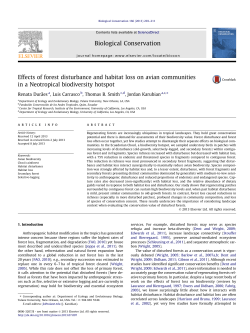 Effects of forest disturbance and habitat loss on avian communities