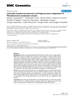 Laterally transferred elements and high pressure adaptation in