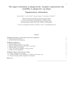 The zipper mechanism in phagocytosis: energetic