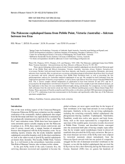 The Paleocene cephalopod fauna from Pebble