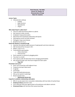 Plant Diversity - Biol 3601 Lecture 14, Chapter 19 Characteristics of