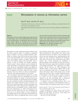 Microtubules in neurons as information carriers