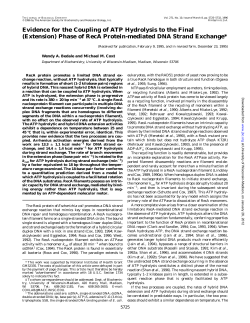 Evidence for the Coupling of ATP Hydrolysis to the Final (Extension