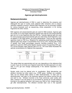 Agarose gel electrophoresis - Department of Environmental Sciences