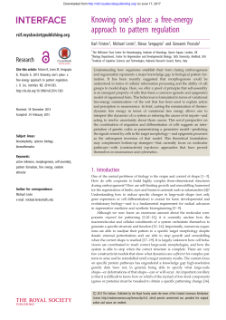 Knowing one`s place: a free-energy approach to pattern regulation