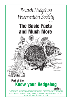 The Basic Facts and Much More