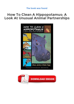 A Look At Unusual Animal Partnerships