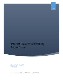 Internet Explorer Vulnerability Repair Guide