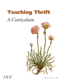 Teaching Thrift A Curriculum - Institute for American Values
