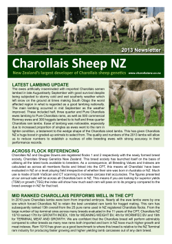 2013 Newsletter - Charollais Sheep, New Zealand