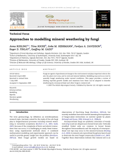 Approaches to modelling mineral weathering by fungi