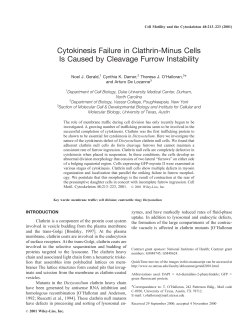 Cytokinesis Failure in Clathrin-Minus Cells Is