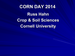 stretching your herbicide dollar