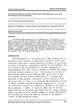 Following PHA-stimulation of lymphocytes in culture, it is known that