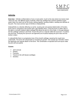 the information sheet in pdf