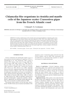 Chlamydia-like organisms in ctenidia and mantle cells of the
