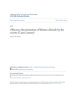 Olfactory discrimination of lithium chloride by the coyote