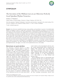 The Invention of the Pilidium Larva in an