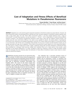 Cost of Adaptation and Fitness Effects of Beneficial