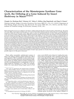 Characterization of the Monoterpene Synthase