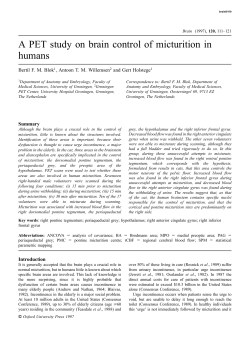 A PET study on brain control of micturition in