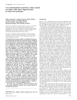 Low mitochondrial respiratory chain content
