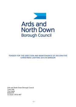 tender for the erection and maintenance of decorative christmas