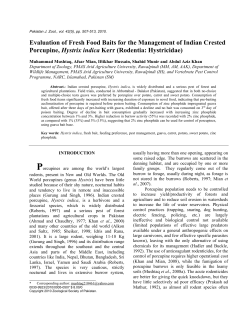 Evaluation of Guava Fruit as Zinc Phosphide Bait for Management
