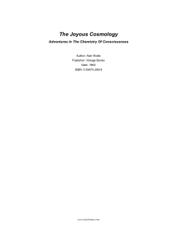 The Joyous Cosmology