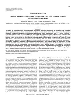 Glucose uptake and metabolism by red blood cells from fish with