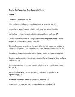 Chapter One Vocabulary (From Bacteria to Plants)