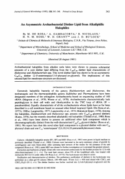 An Asymmetric Archaebacterial Diether Lipid from